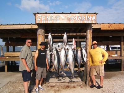 Murden Group - 8 Nice Yellowfin Tuna